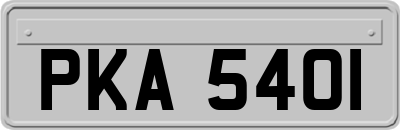PKA5401