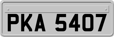 PKA5407