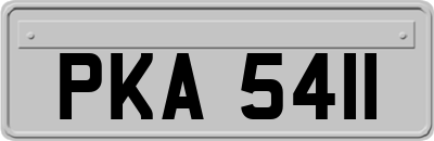 PKA5411