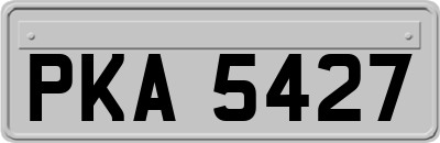 PKA5427