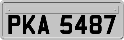 PKA5487