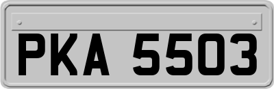 PKA5503