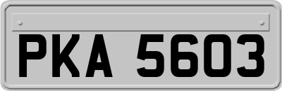PKA5603