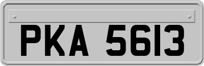 PKA5613