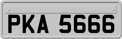 PKA5666