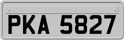PKA5827