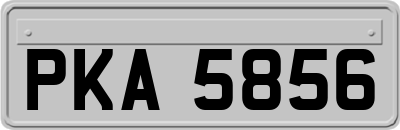 PKA5856