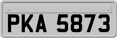 PKA5873