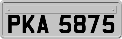 PKA5875