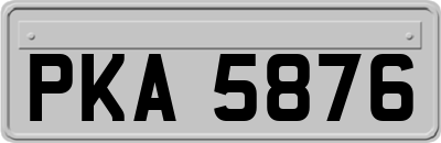 PKA5876