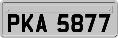 PKA5877