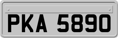 PKA5890