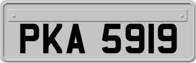 PKA5919