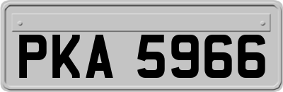 PKA5966