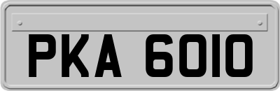 PKA6010