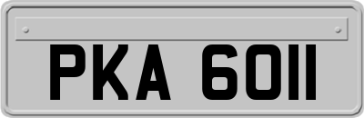 PKA6011