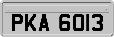 PKA6013