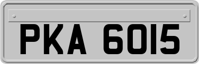 PKA6015