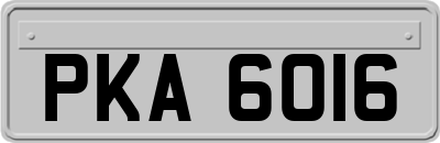 PKA6016