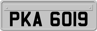 PKA6019