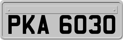 PKA6030