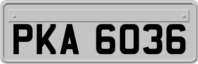 PKA6036