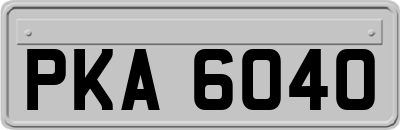 PKA6040