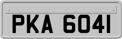 PKA6041