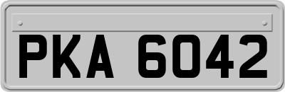 PKA6042
