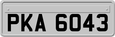 PKA6043