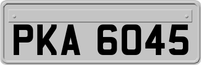PKA6045