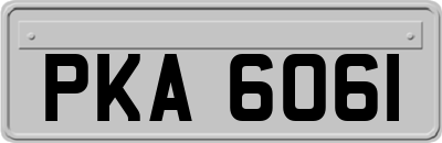 PKA6061