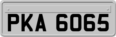 PKA6065