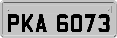 PKA6073