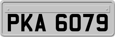 PKA6079