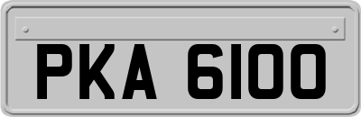 PKA6100