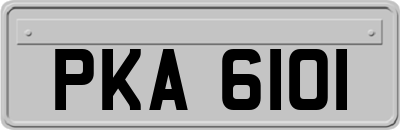 PKA6101