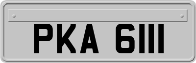 PKA6111
