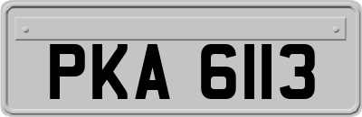 PKA6113
