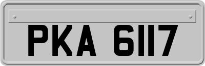 PKA6117