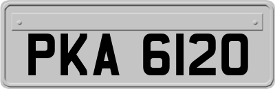 PKA6120