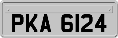 PKA6124