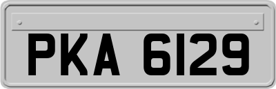 PKA6129