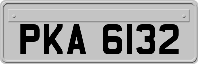 PKA6132