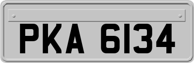 PKA6134