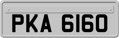 PKA6160