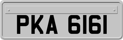 PKA6161