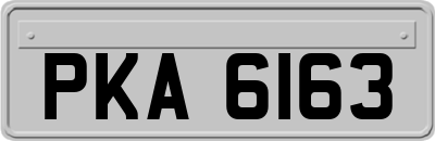 PKA6163