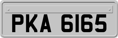 PKA6165