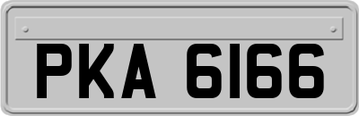 PKA6166